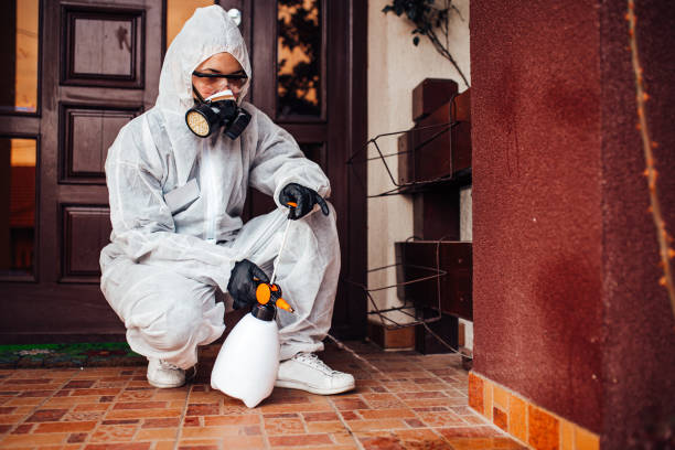 Reliable Cockroach Control contractor in Eloy, AZ by Nex Pest Control